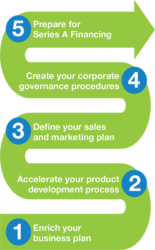 A diagram describing the five steps of the L-SPARK Ignite Program.